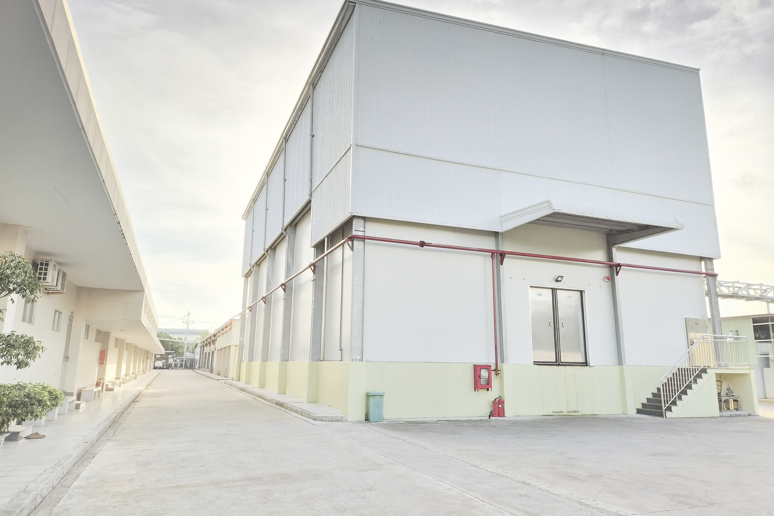 Baseafood Vietnam Seafood Supplier Frozen Seafood