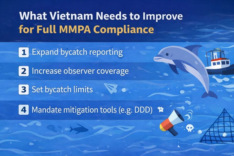 What Vietnam Needs to Improve for Full MMPA Compliance