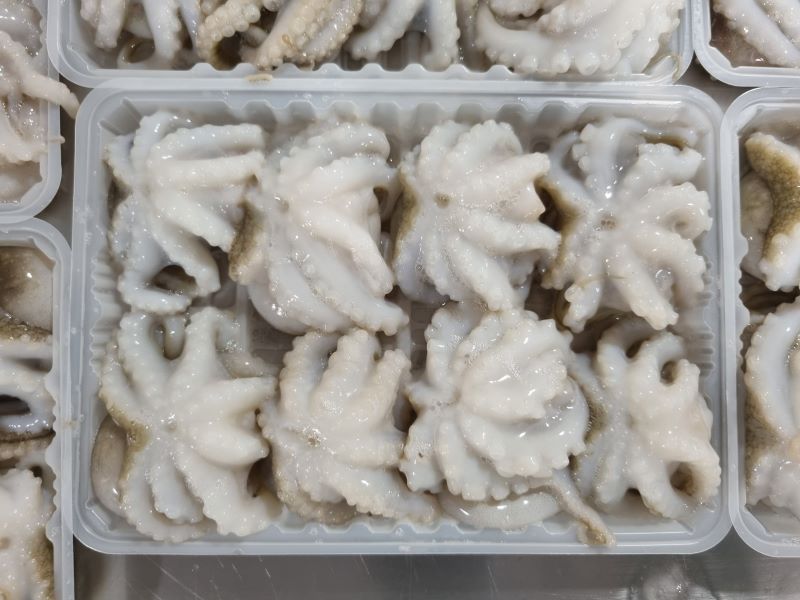 Baby Octopus Whole Cleaned Vietnam supplier
