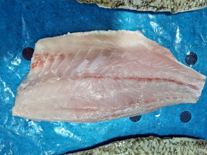 Barramundi Fillet Skin on supplier