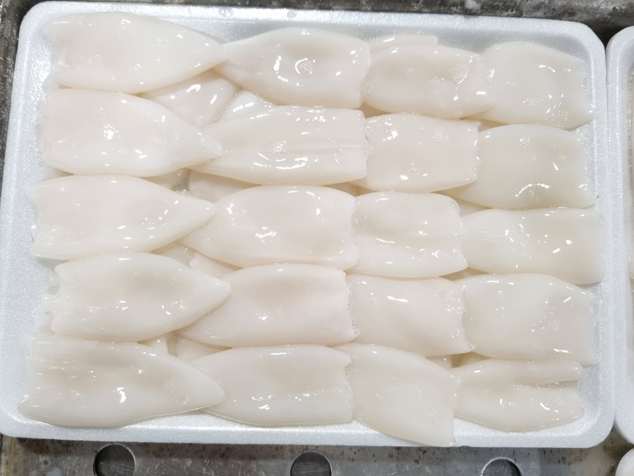 Loligo Squid Tube Calamari Vietnam Supplier