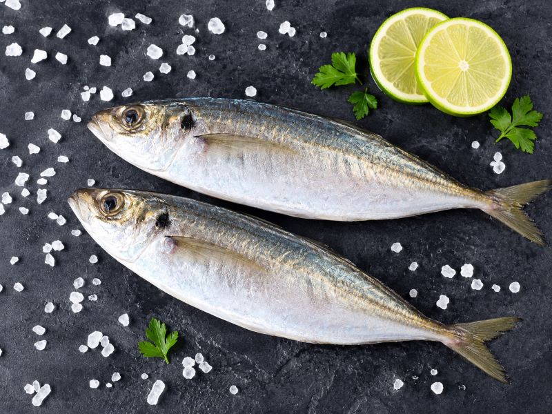 Types of Scad Fish: 7 Scad Species from Vietnam