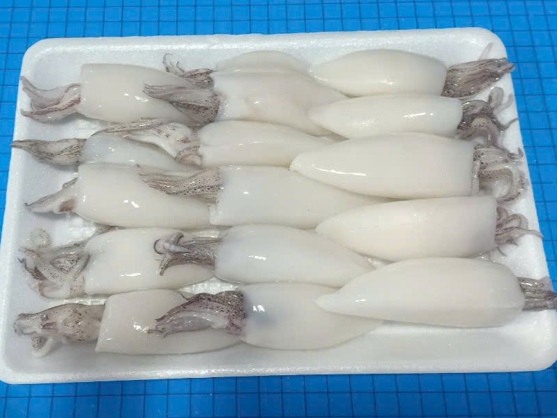 Squid Whole Cleaned Vietnam Seafood Exporter