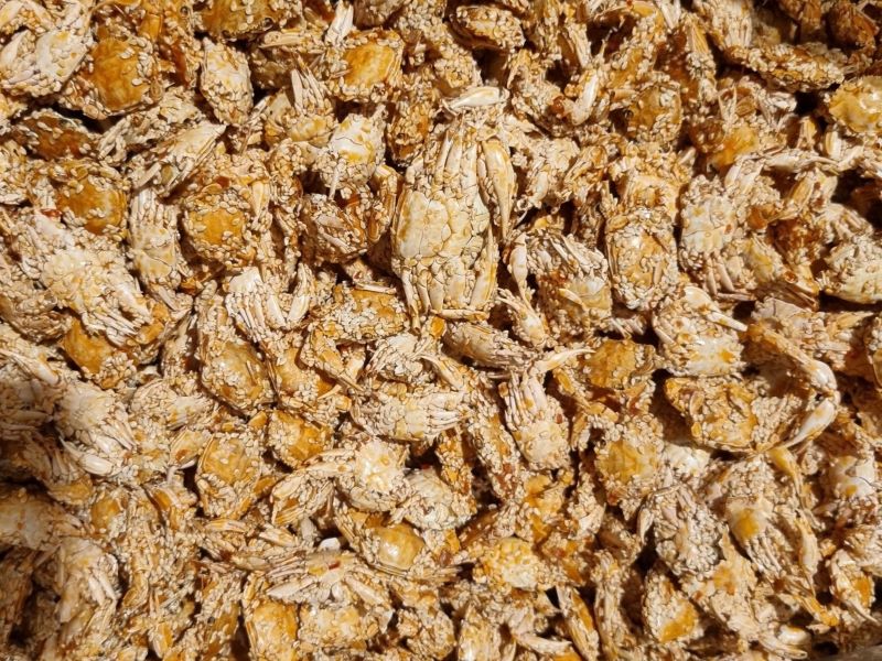 dried-baby-crab