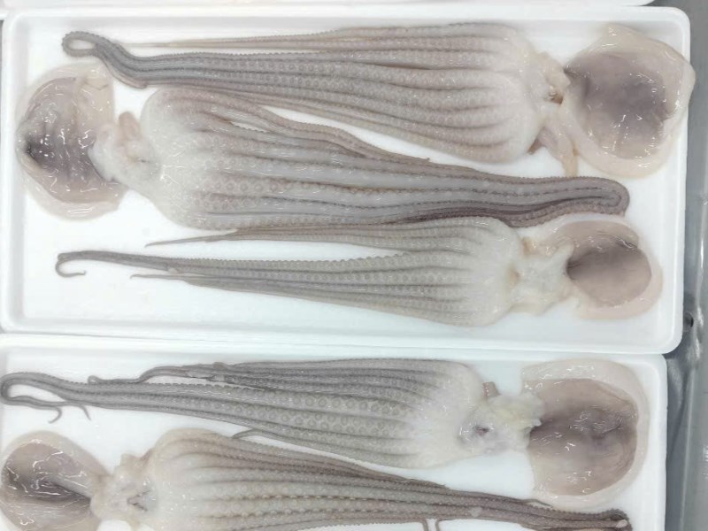 long-legged-octopus-whole-cleaned-vietnam-factory