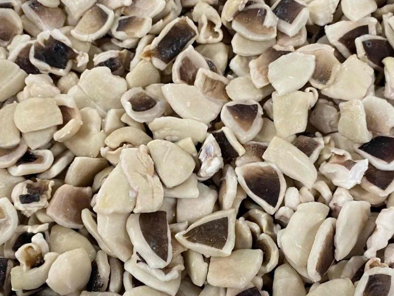 octopus-cut-body-vietnam-supplier