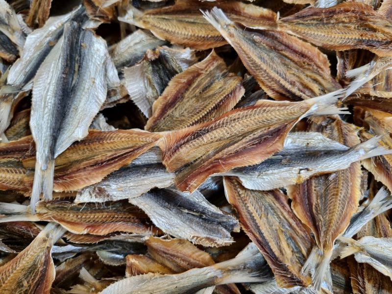 single-ingredient-dried-fish-pet-treats