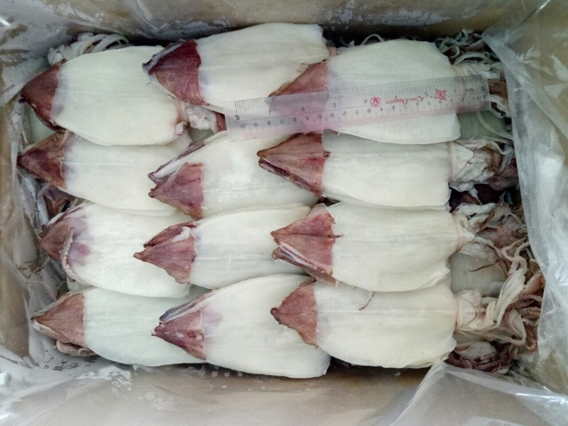 Dried Loligo Squid Skinless (건한치, Loligo edulis), Mực Khô, Vietnam Supplier