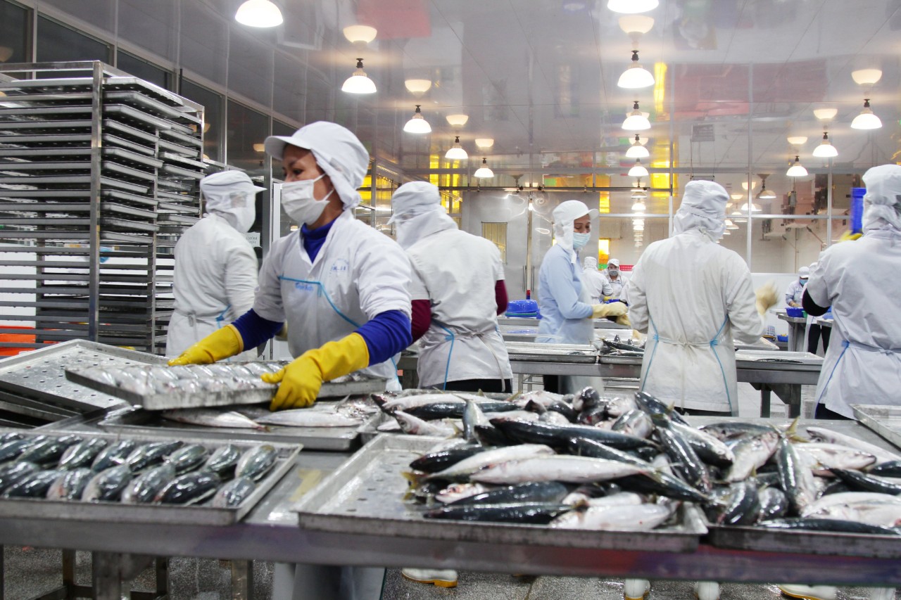 Baseafood Vietnam Seafood Supplier Processing Factory