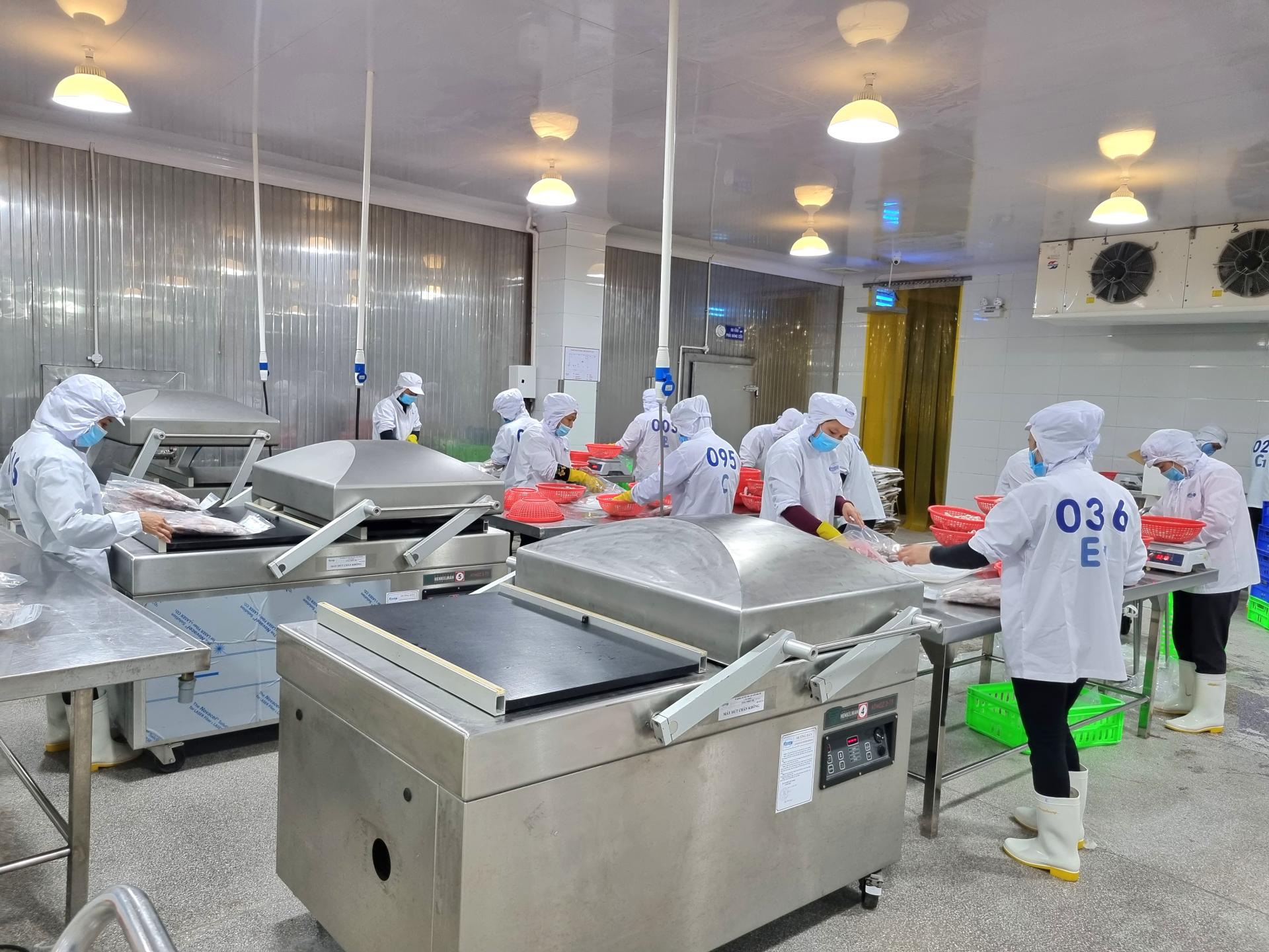 Baseafood Vietnam Seafood Supplier Frozen Fish