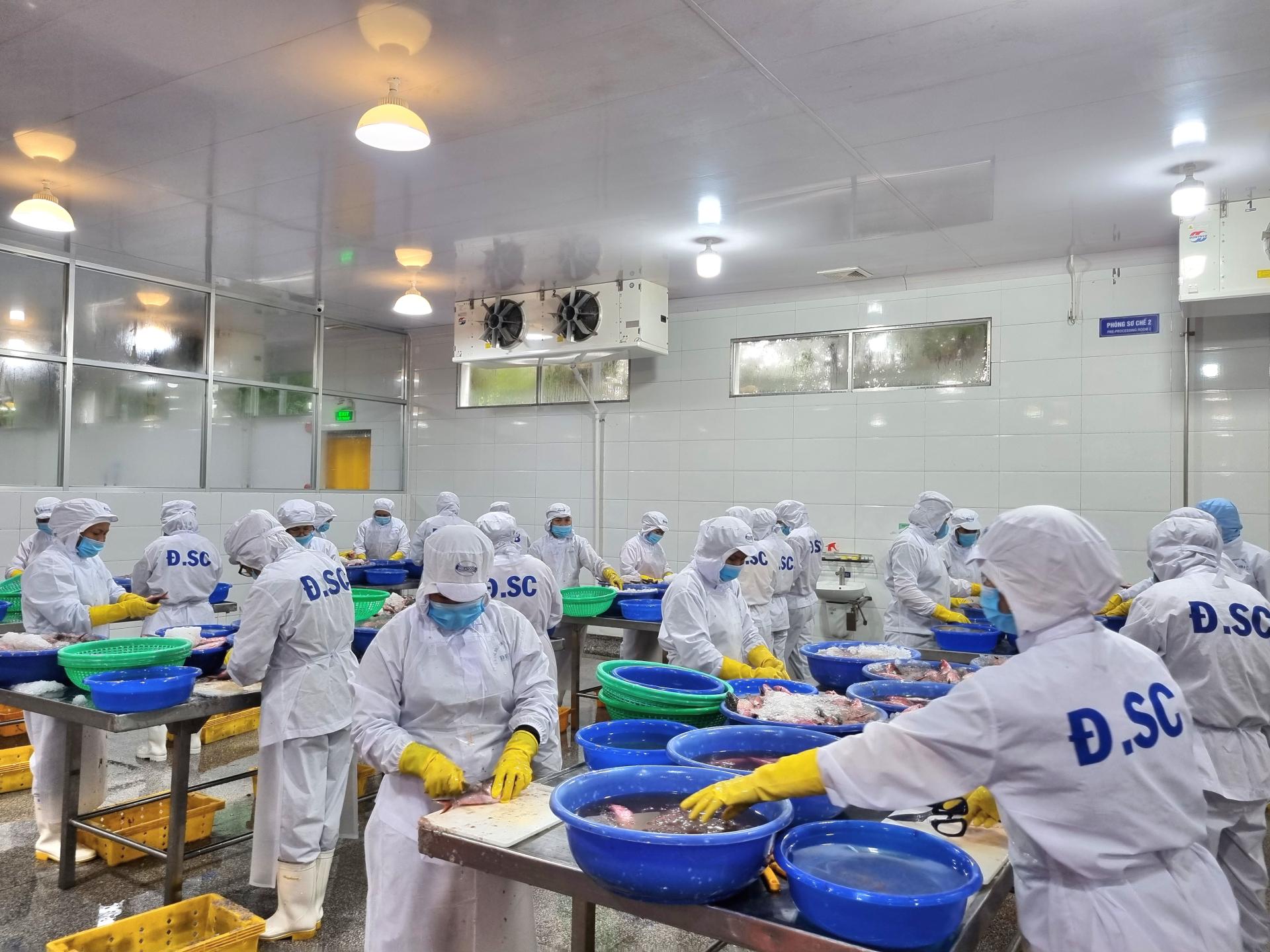 Baseafood Vietnam Seafood Supplier Processing Factory HACCP