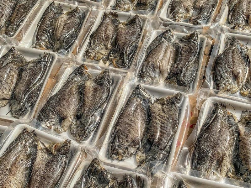 Dried Gourami Fish