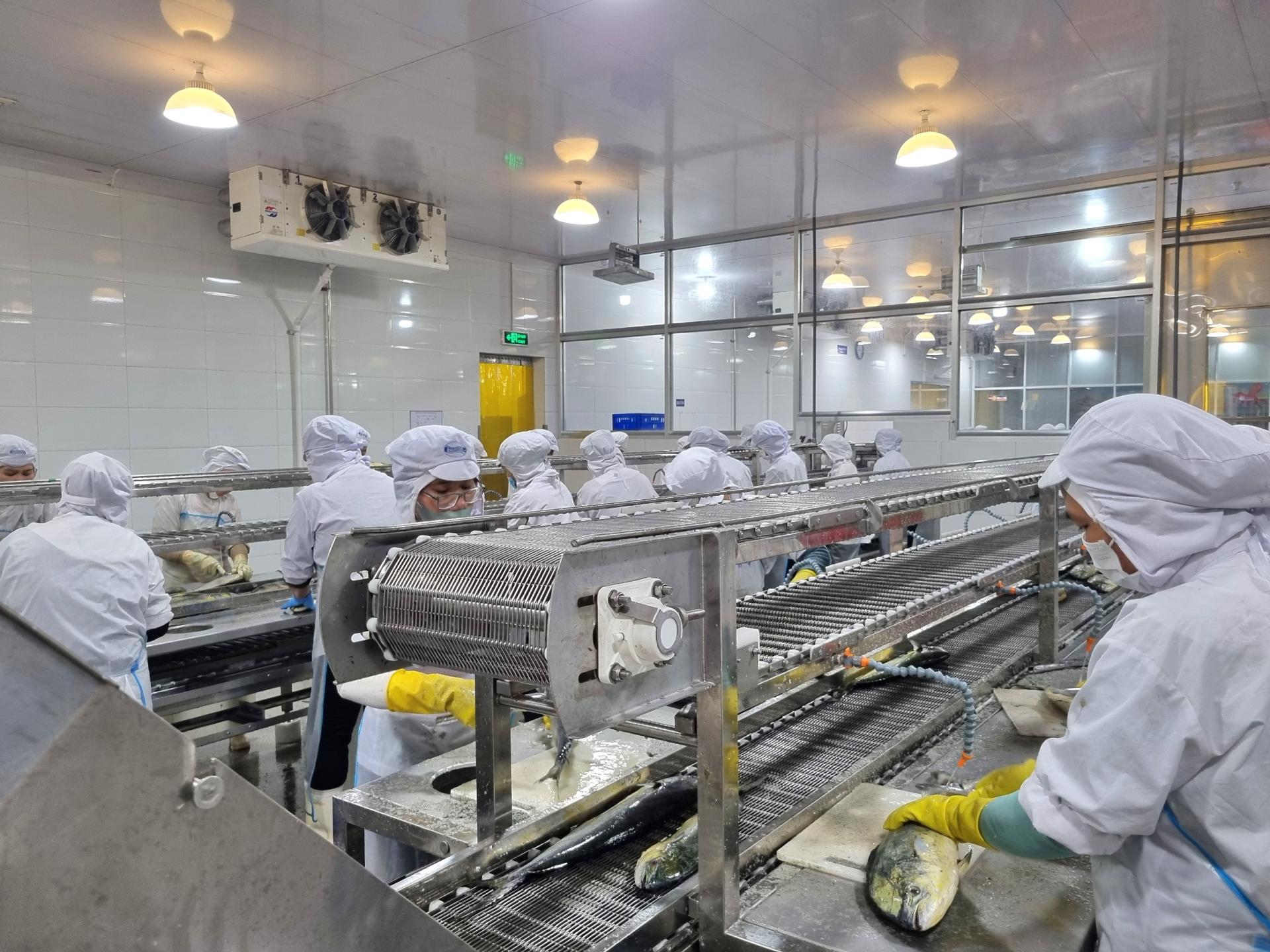 Baseafood Vietnam Seafood Supplier Processing Fish