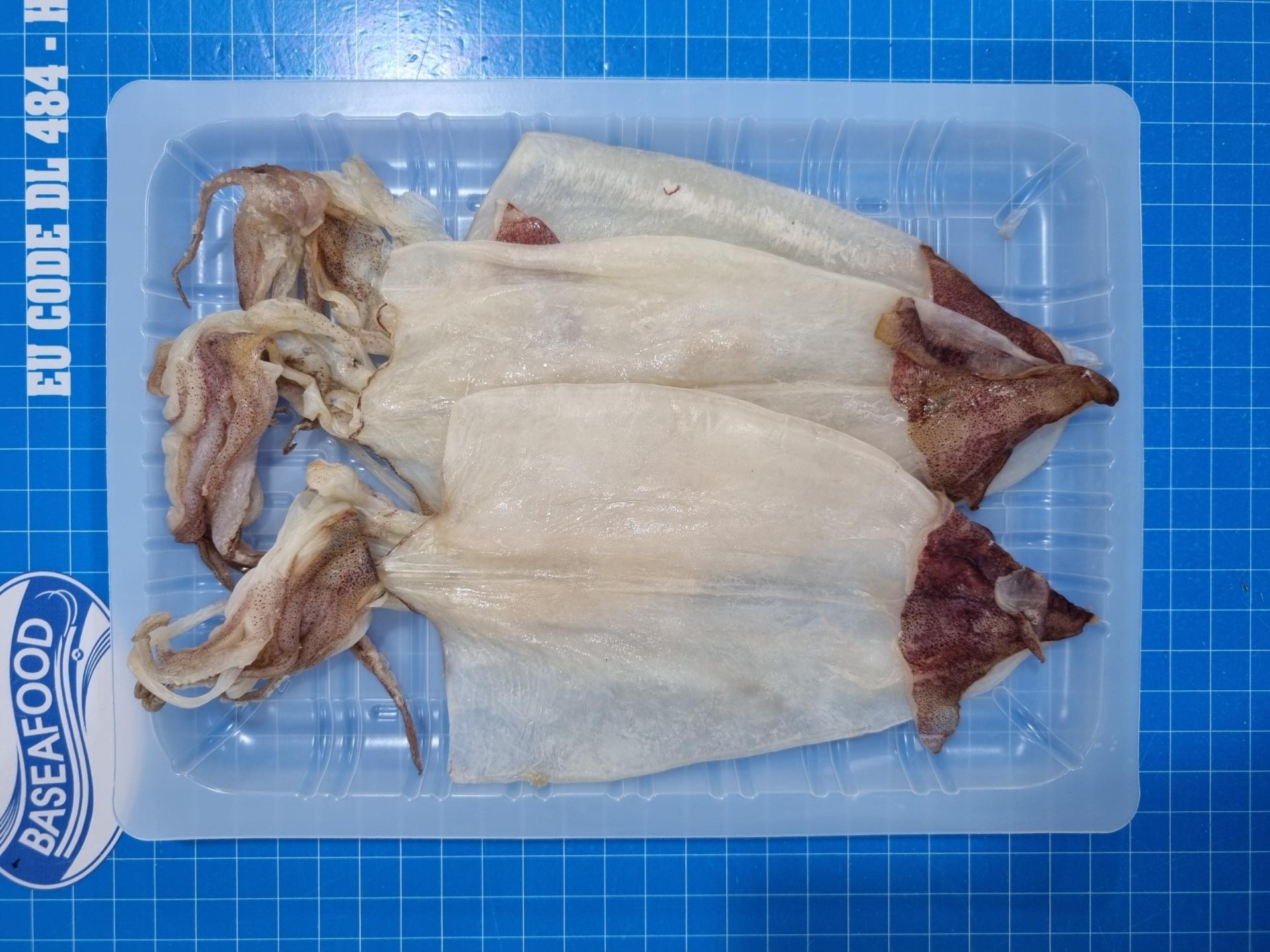 Dried Squid Skinless, 건한치, 乾小魷魚, 乾燥イカ